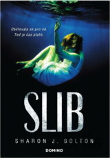 Slib
