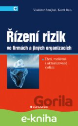 Řízení rizik ve firmách a jiných organizacích