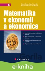 Matematika v ekonomii a ekonomice