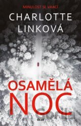 Osamělá noc