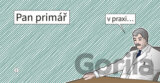 Pan Primář v praxi...