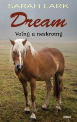 Dream 1