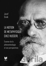 La notion de metaphysique chez Husserl