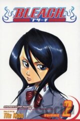 Bleach 2