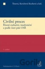 Civilní proces