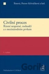 Civilní proces