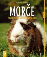 Morče