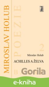 Achilles a želva