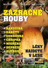 Zázračné houby