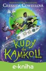 Kudy do kamkoli