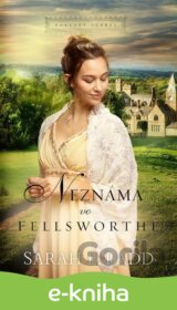 Neznáma vo Fellsworte