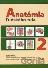 Anatómia ľudského tela 2