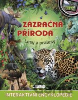 Zázračná příroda: Lesy a pralesy