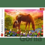 Trefl Puzzle 500 - Kone na lúke