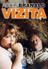 Vizita