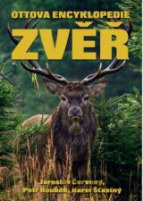 Zvěř