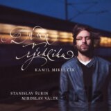 Kamil Mikulčík: Dáma v rýchliku