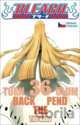 Bleach 36