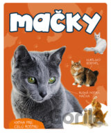 Mačky