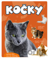 Kočky