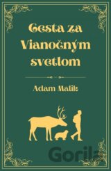 Cesta za Vianočným svetlom