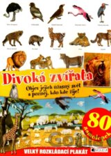 Divoká zvířata