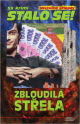 Zbloudilá střela