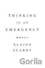 Thinking in an Emergency