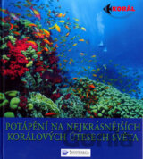Potápění na nejkrásnějších korálových útesech světa