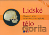 Lidské tělo