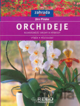 Orchideje