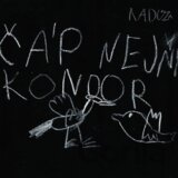 Čáp nejni kondor