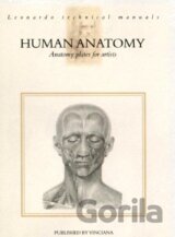 Human anatomy