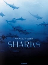 Sharks