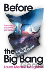 Before the Big Bang