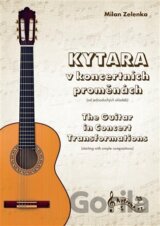 Kytara v koncertních proměnách