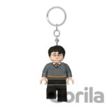 LEGO Harry Potter svietiaca figúrka (HT)