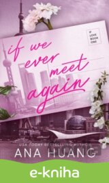 If We Ever Meet Again