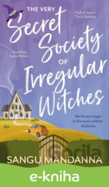 The Very Secret Society of Irregular Witches