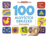 100 mluvících obrázků - První znalosti