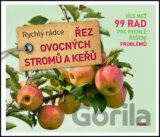 Řez ovocných stromů a keřů