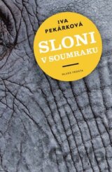 Sloni v soumraku