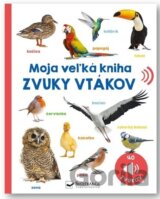 Zvuky vtákov