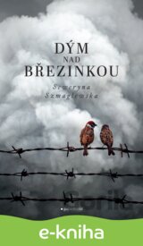 Dým nad Březinkou