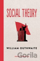 Social Theory