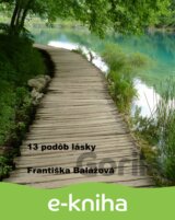 13 podôb lásky