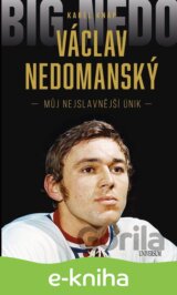 Václav Nedomanský