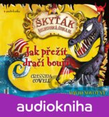Jak přežít dračí bouři