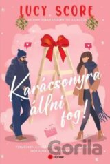 Karácsonyra állni fog! - Természeti katasztrófa utáni romeltakarítás még sosem volt ennyire szexi
