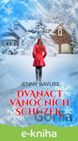 Dvanáct vánočních schůzek
